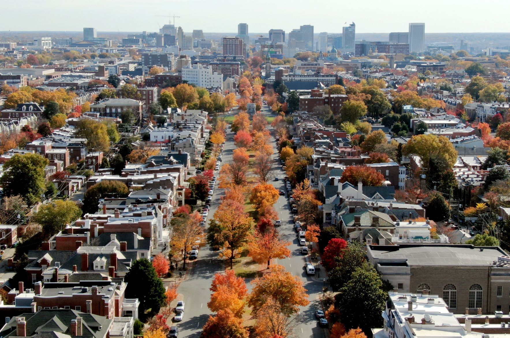 Fall foliage
